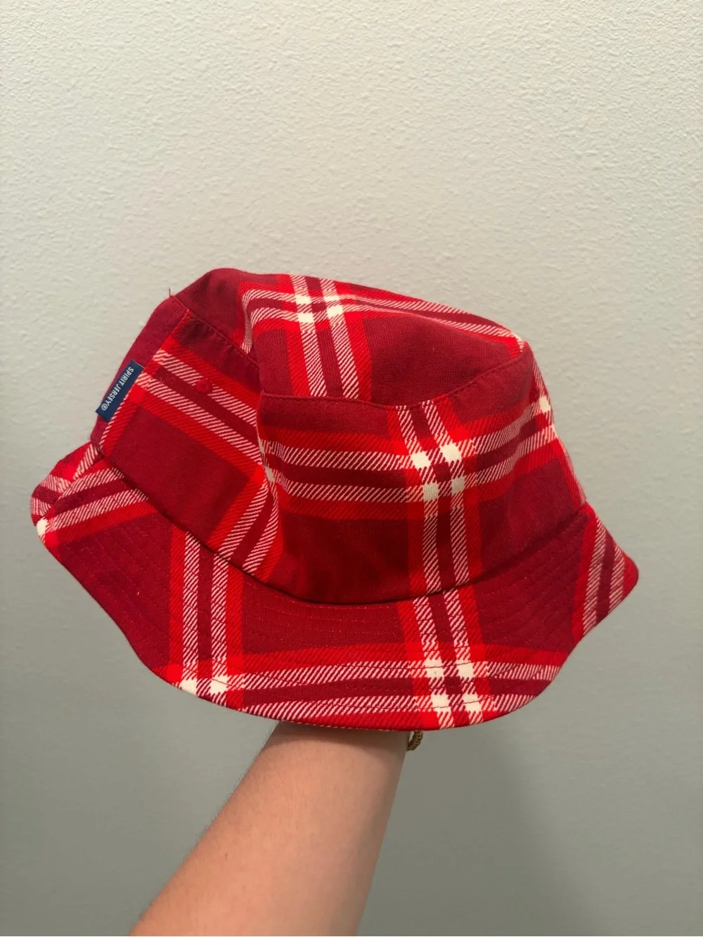 Disney holiday bucket